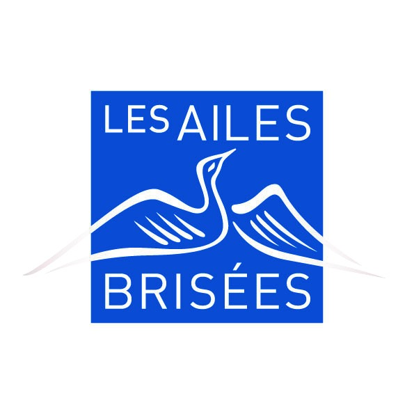 Trouvez le cadeau de Noël idéal en aidant l’Association Les Ailes Brisées
